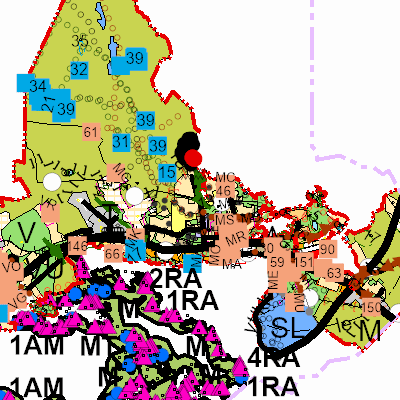 Export Image